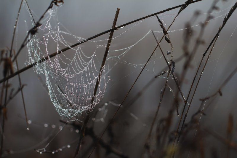 Осенний этюдphoto preview