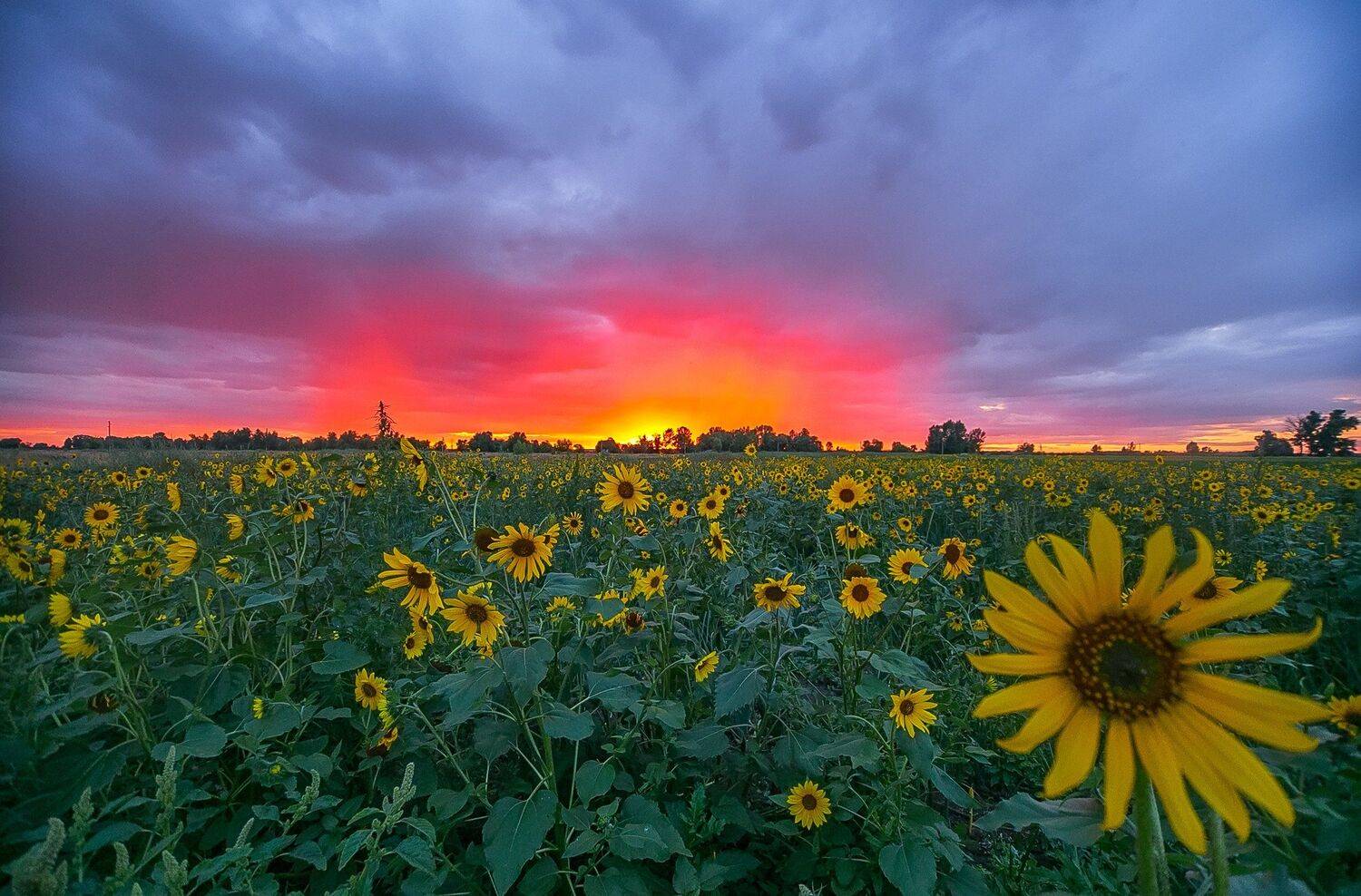 , Павел Сагайдак
