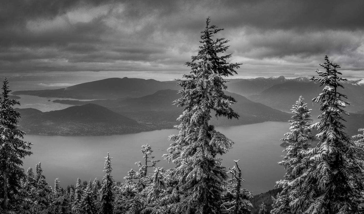 , Андрей Степанов