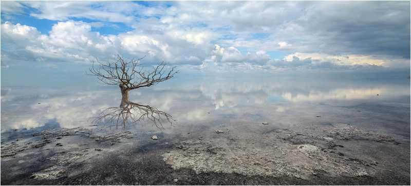 Тишинаphoto preview