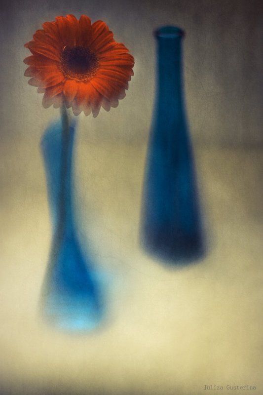 ⋘✿⋙photo preview