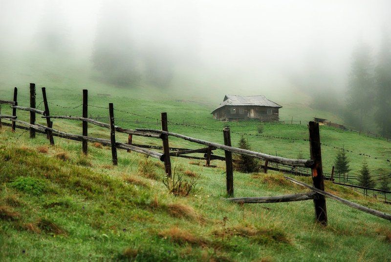 карпаты, лес, камни, ель, дождь, туман, d80 Туманным утром в Карпатахphoto preview