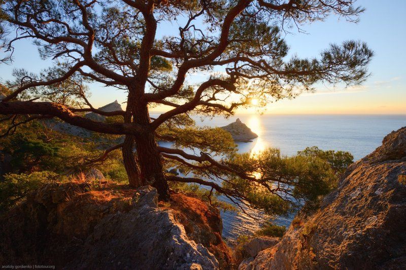 Утреннее солнцеphoto preview