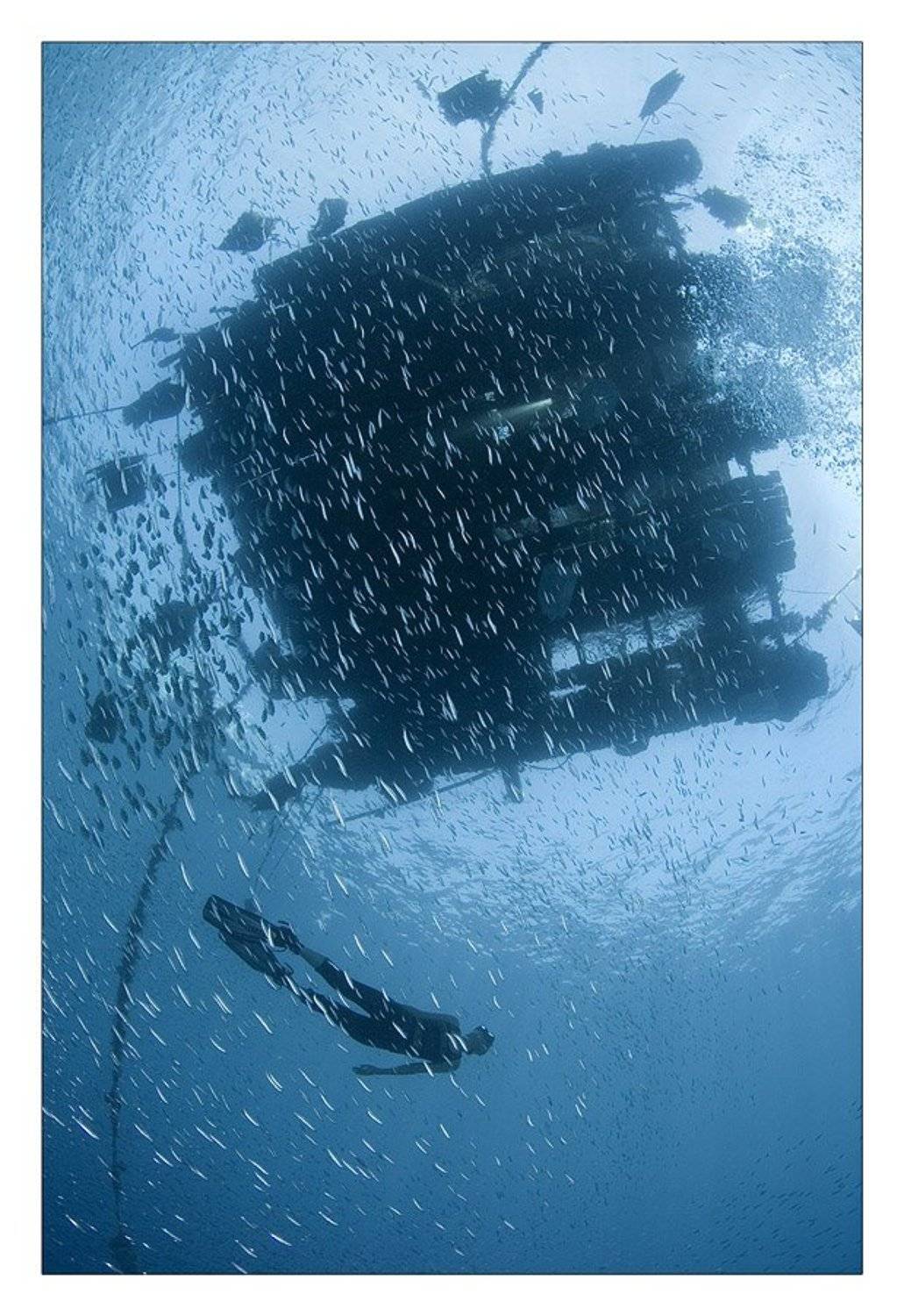 ***. Автор: Нарчук Андрей , Нарчук Андрей