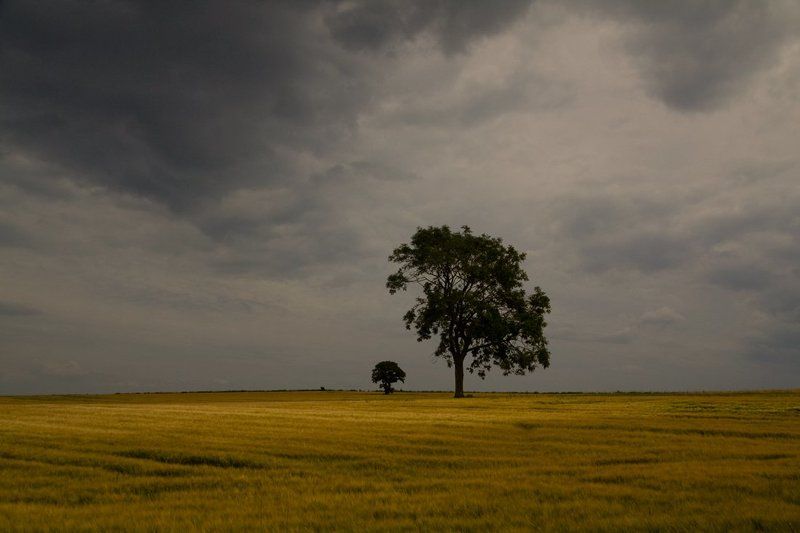 предгрозовоеphoto preview