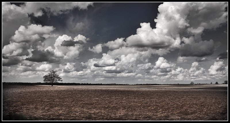 gordij...photo preview