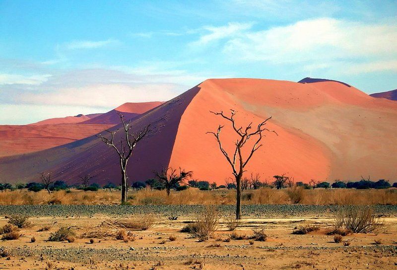 пустыня противостояниеphoto preview