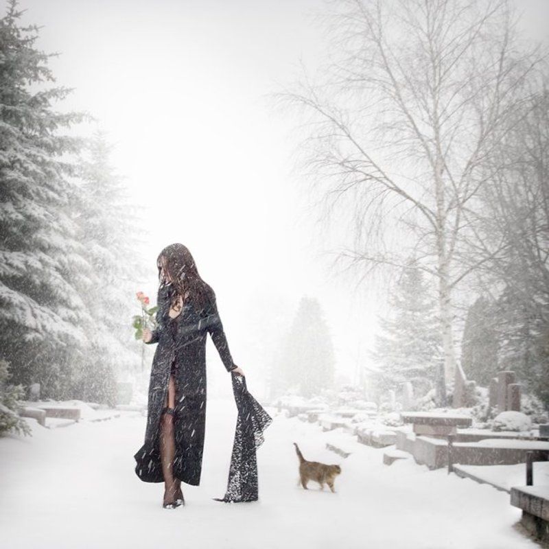 ... зимаphoto preview