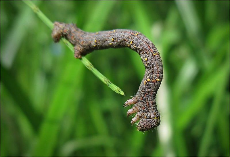 Трудный выборphoto preview