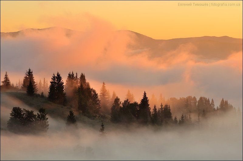 Утренний туманphoto preview