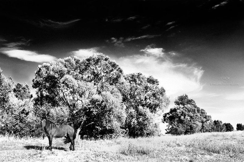 мокров, mokrov ***photo preview