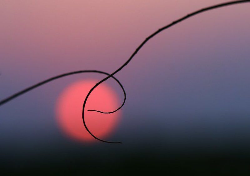 Мелодия звучала на закате...photo preview