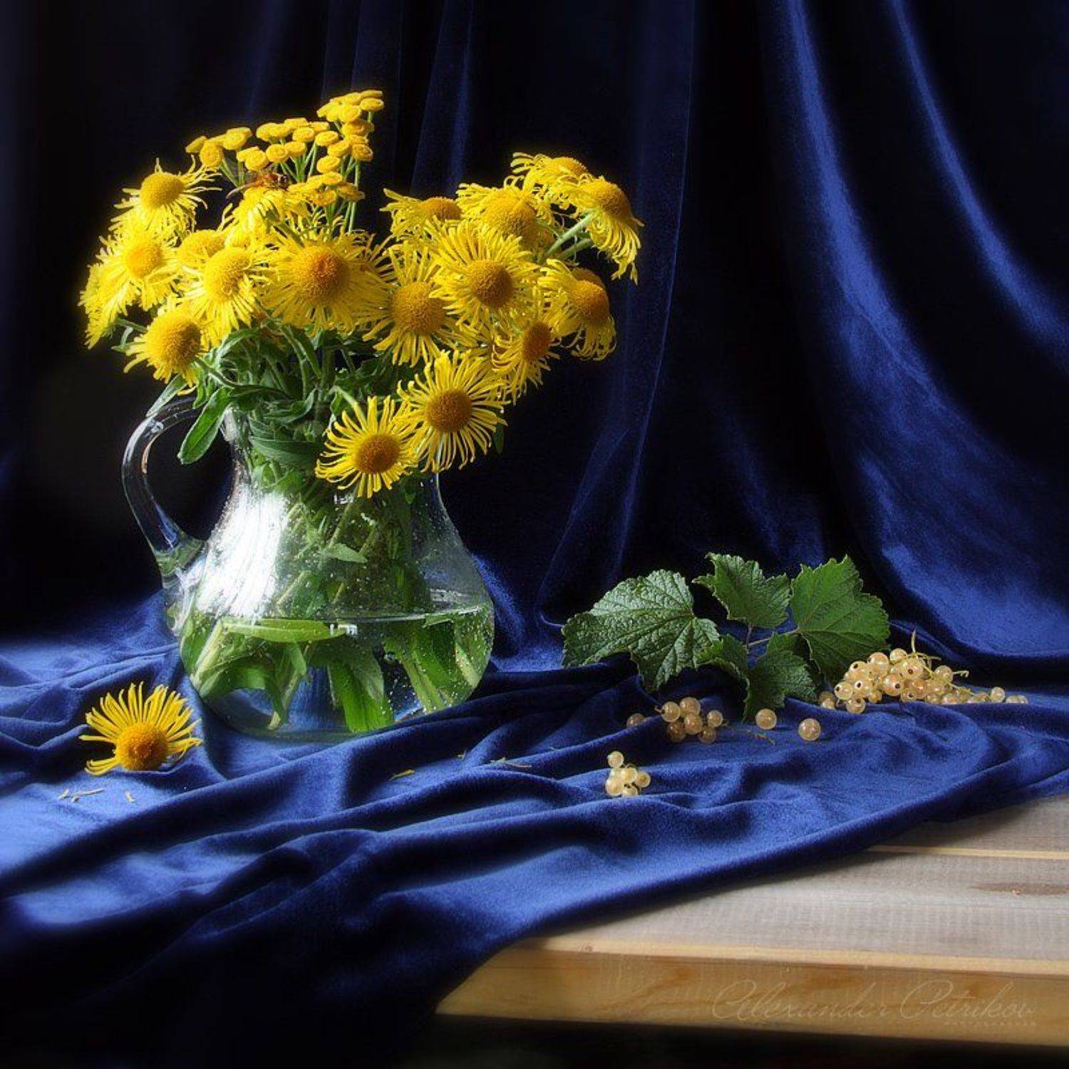 Белая смородина. Автор: Александр Петриков белая, смородина, бархат, желтые, цветы, Александр Петриков