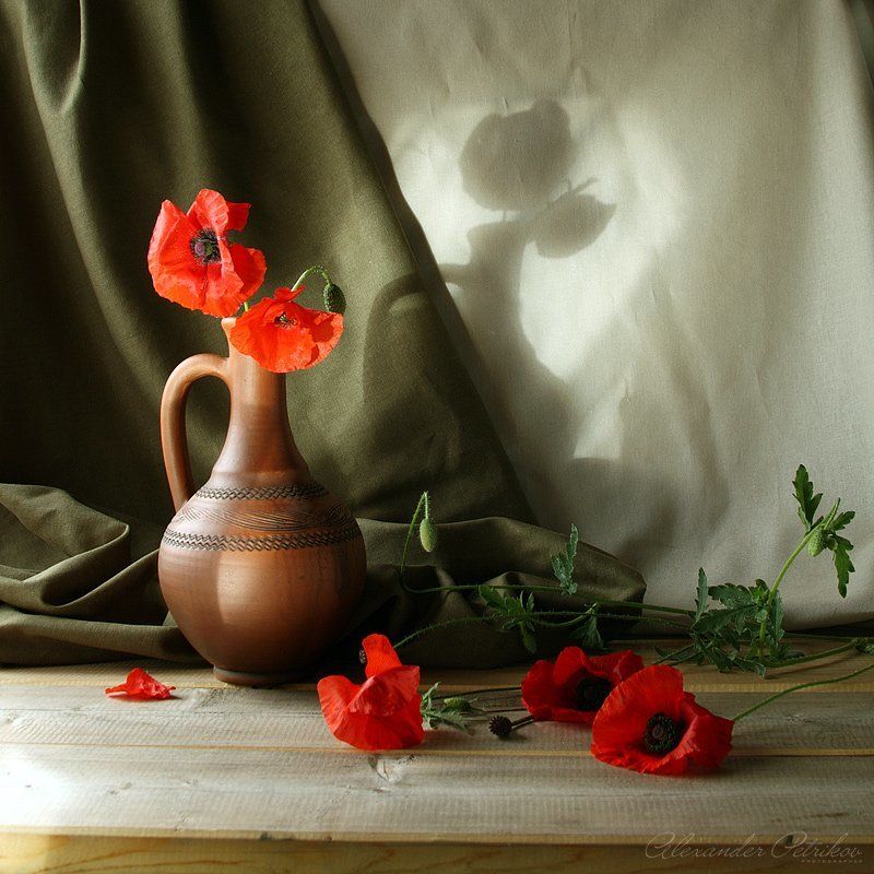 мак С маками фото превью