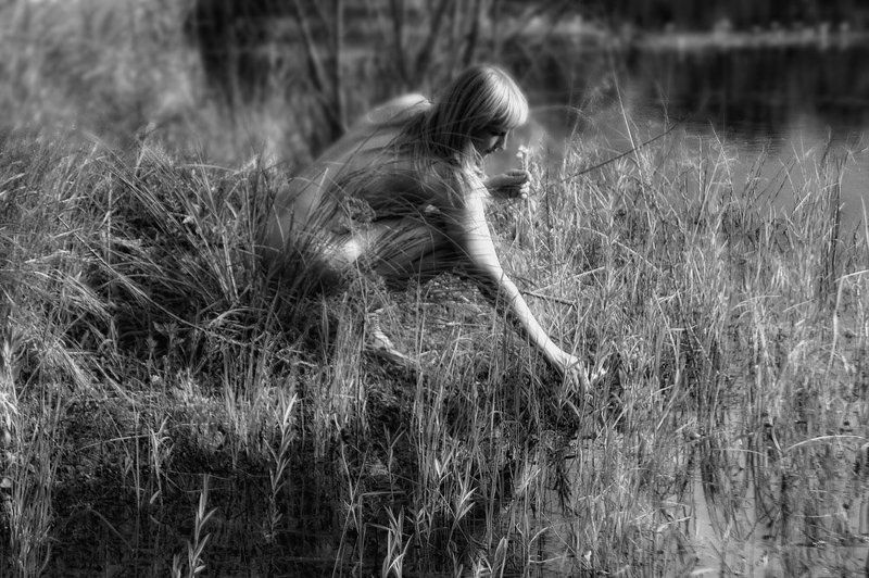 за кубышкамиphoto preview