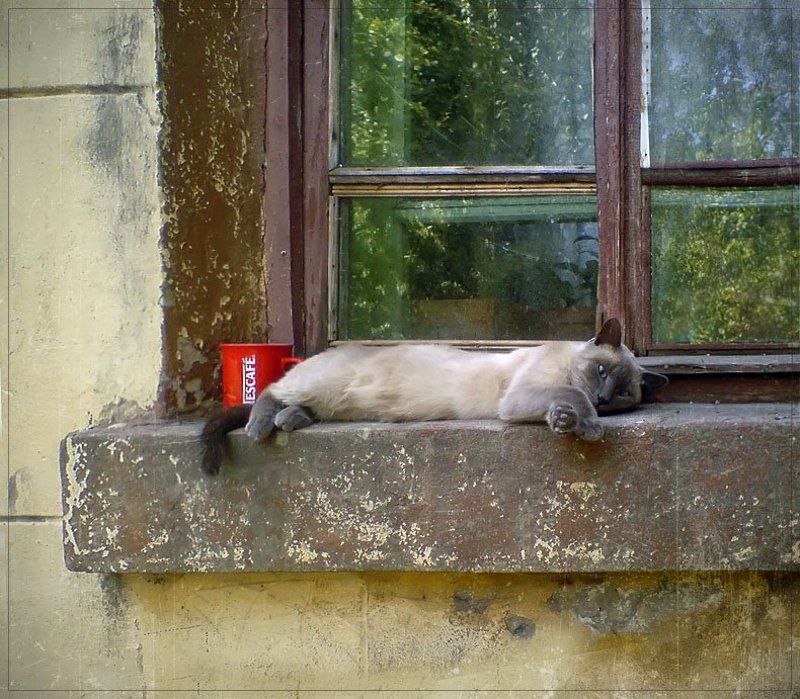 Утречко фото превью