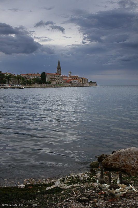 Как гуси провожали день...photo preview