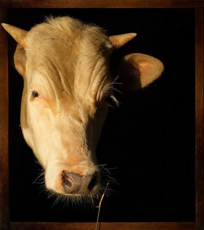 Грустные мысли о будущемphoto preview