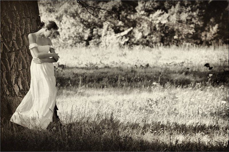 Сказки старого дубаphoto preview