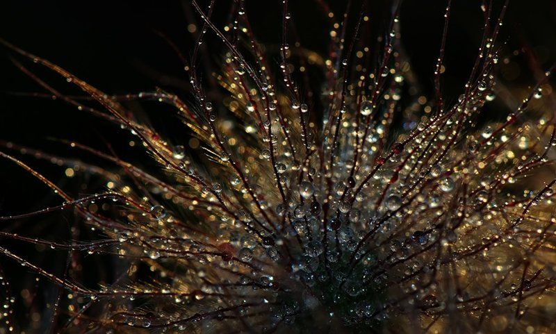 Драгоценности заката...photo preview