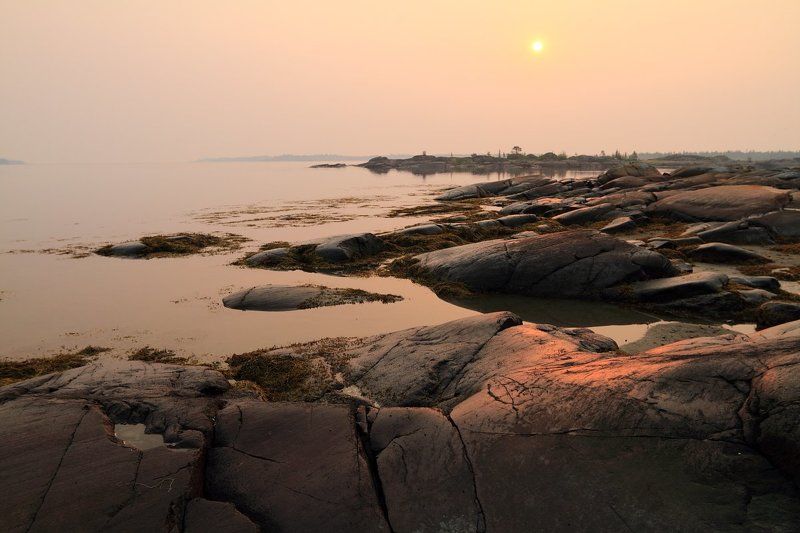 рассвет, белое, море, острова, дымка, карелия Утро в дымке фото превью