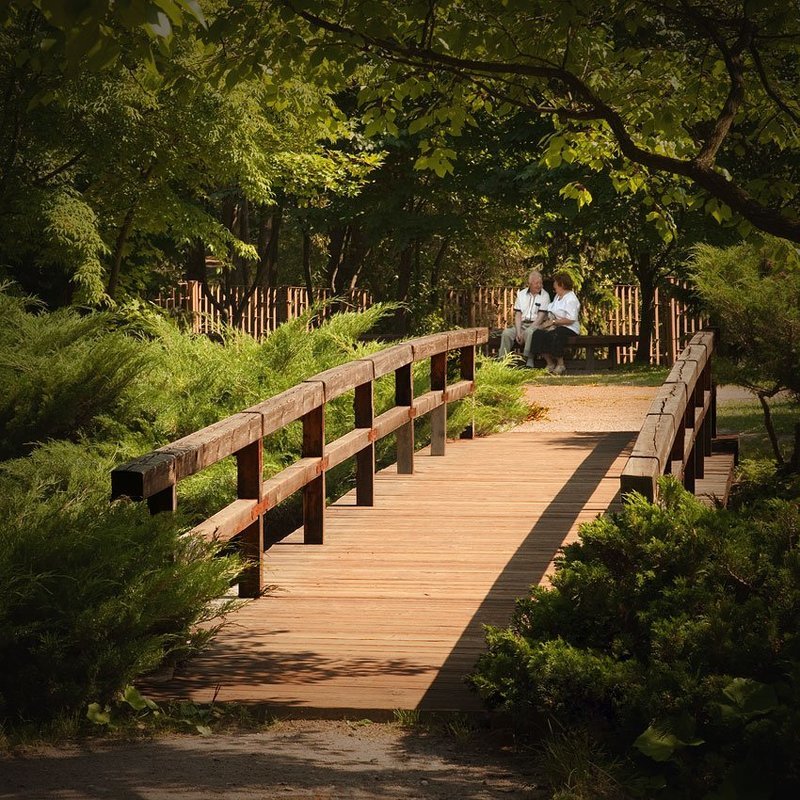 жанр, пейзаж, японский садик В японском садикеphoto preview