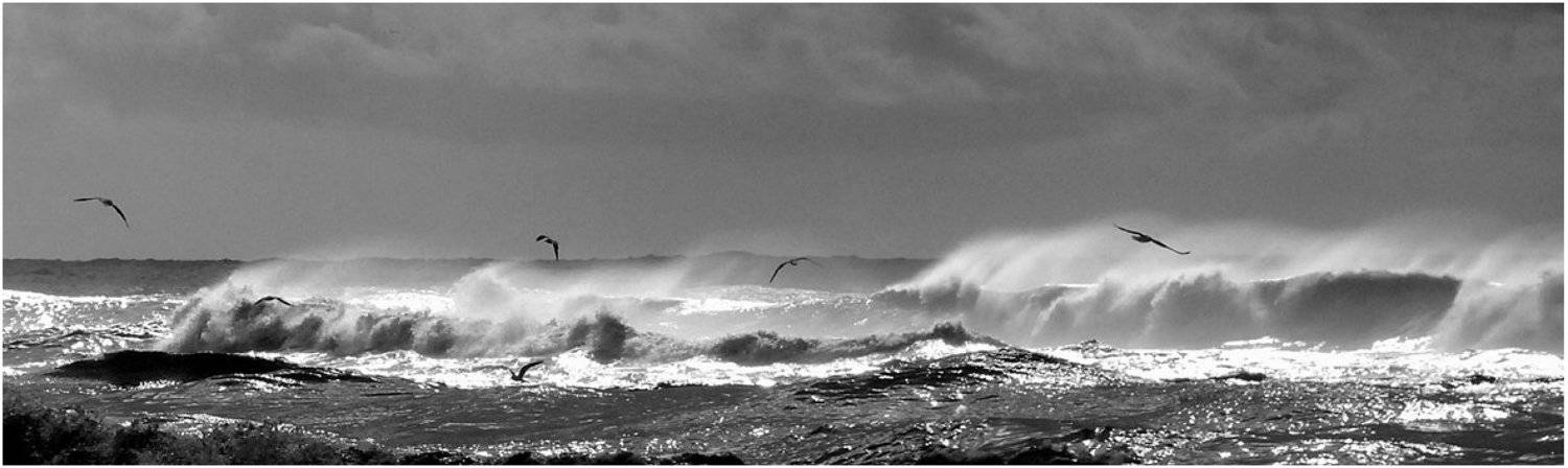 Шторм (2). Автор: VictorSe шторм, волны, чайки, море_средиземное, VictorSe