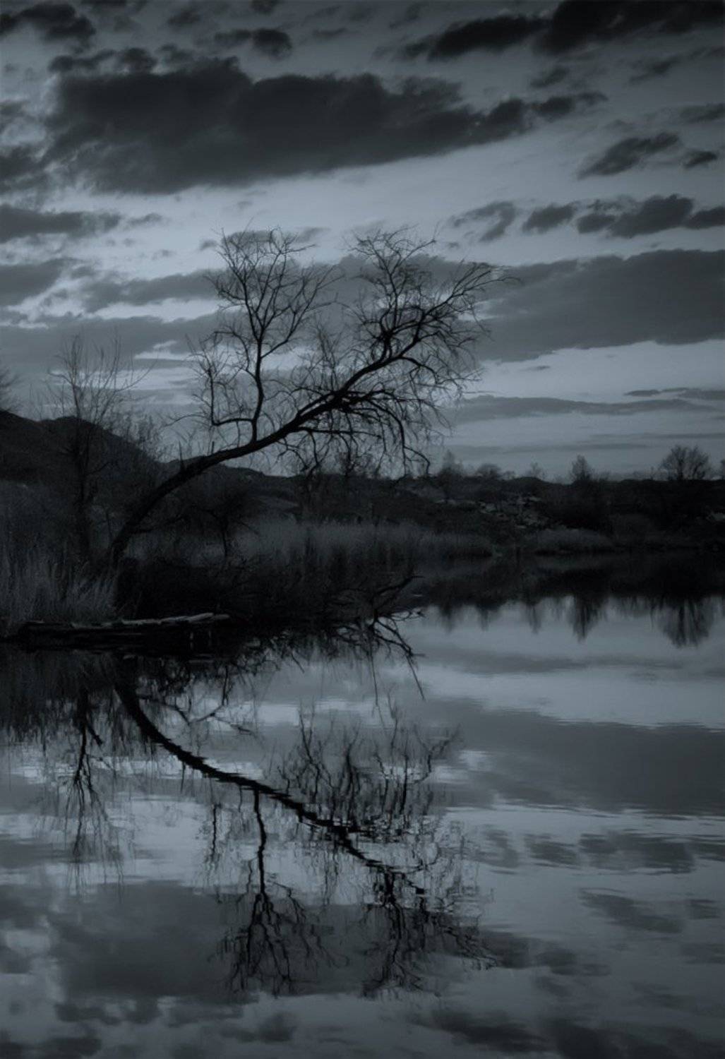 Отражаясь в тебе.... Автор: Татьяна Аверина , Татьяна Аверина