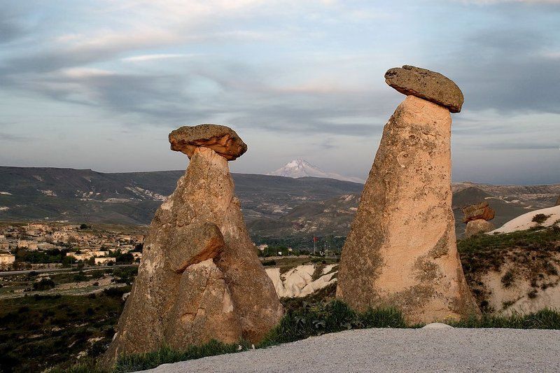 Грибы Ургюпаphoto preview