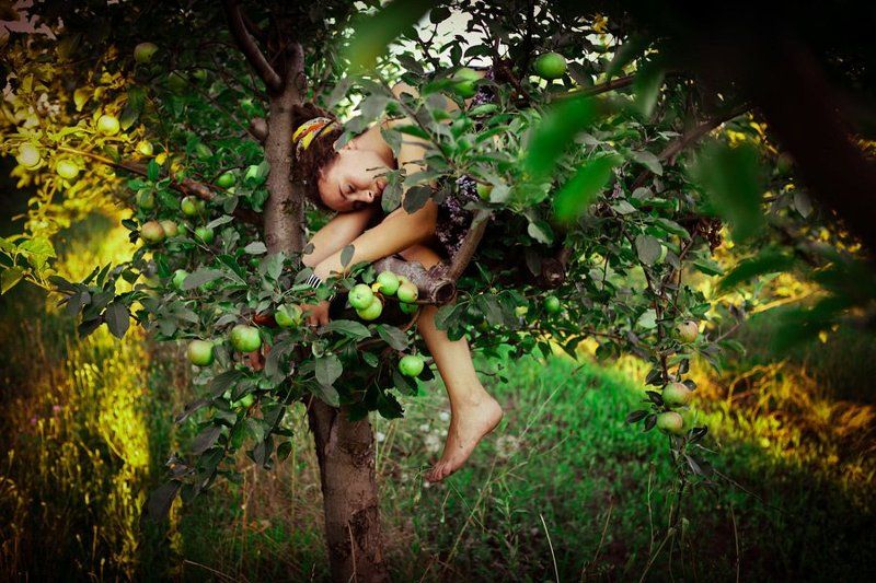 Apple fairyphoto preview