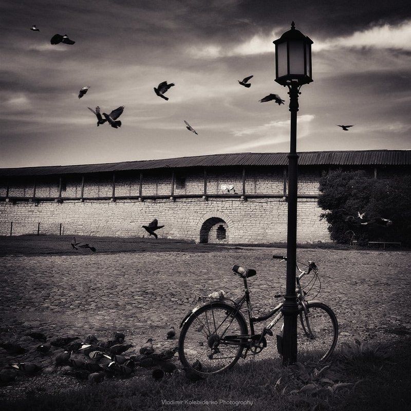 псков, крепость, велосипед, голуби ***photo preview