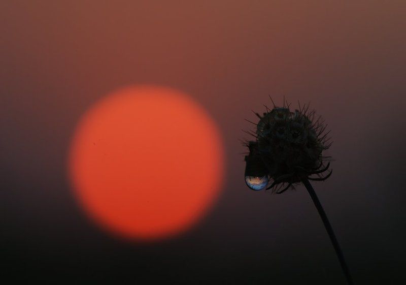 Я всего лишь твое отражение...photo preview