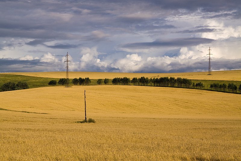 русское полеphoto preview