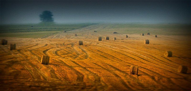 пейзаж *****photo preview