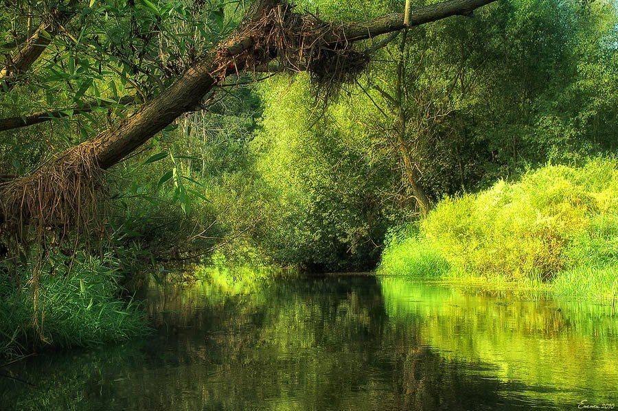 природа, река, волшебство, р.воря, зарисовка, етти