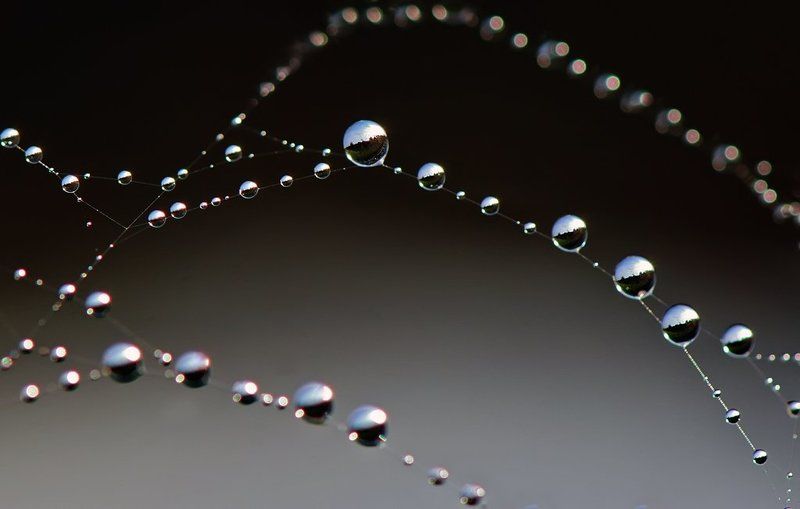 капля Капелный пейзажик...photo preview