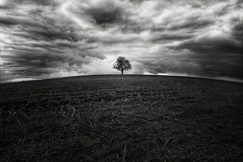 одиночество...photo preview