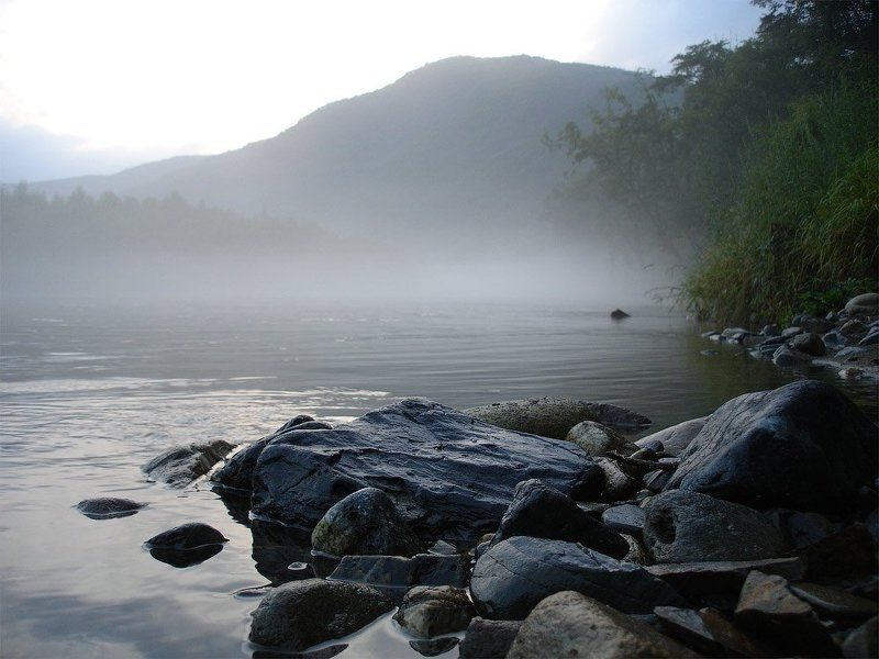 На рекеphoto preview