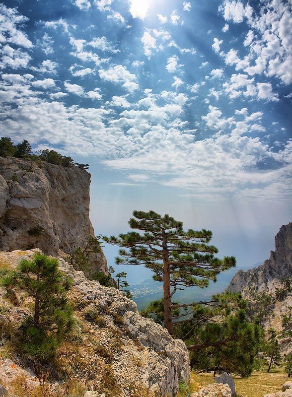 На вершине Ай-Петриphoto preview