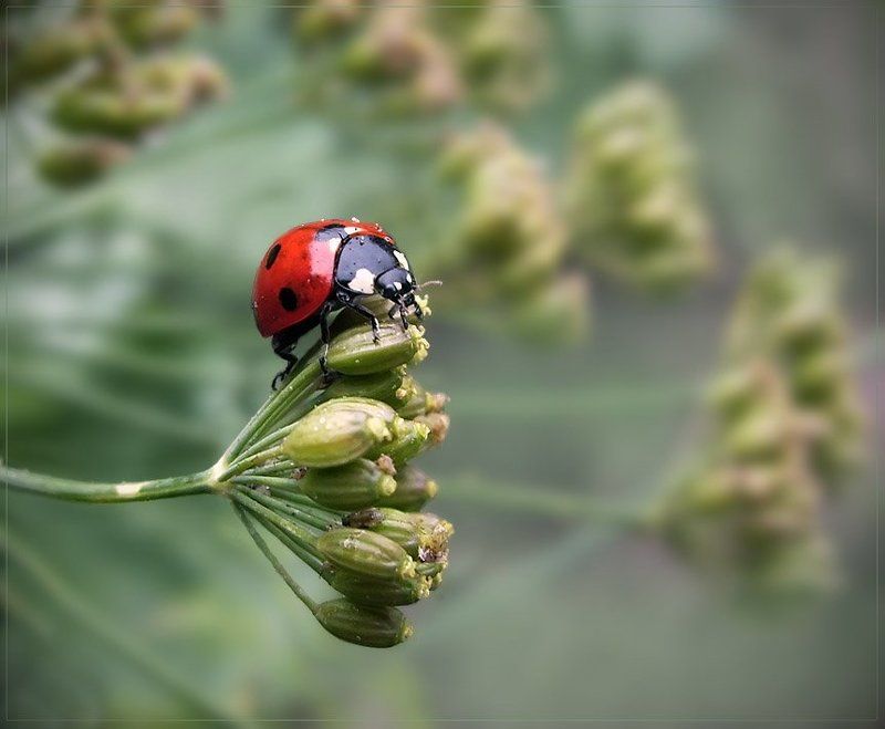 По волнамphoto preview