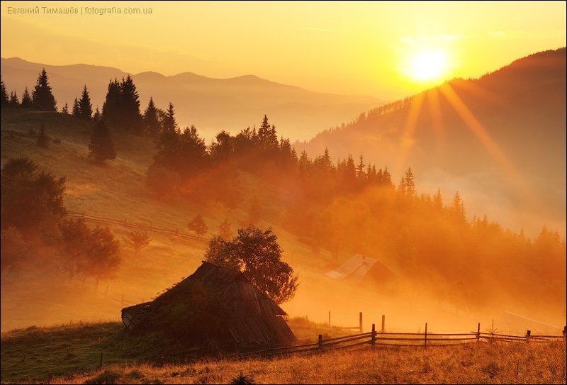 Туманное утроphoto preview