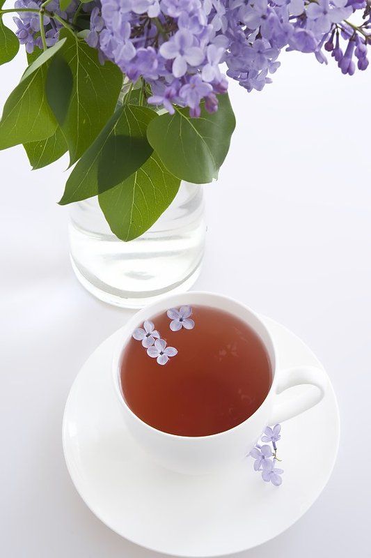 Весенний чайphoto preview