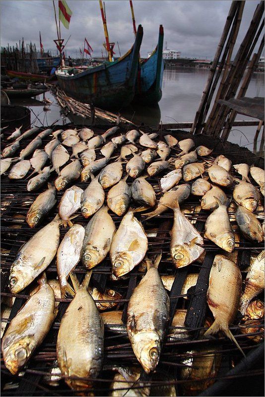 Натюрморт с вяленой рыбой фото превью