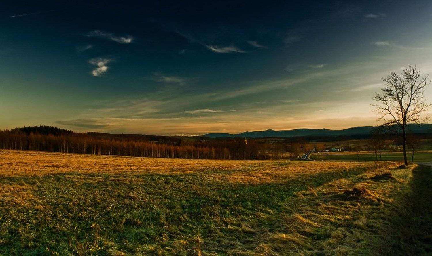 *****. Автор: Агнесса , Агнесса