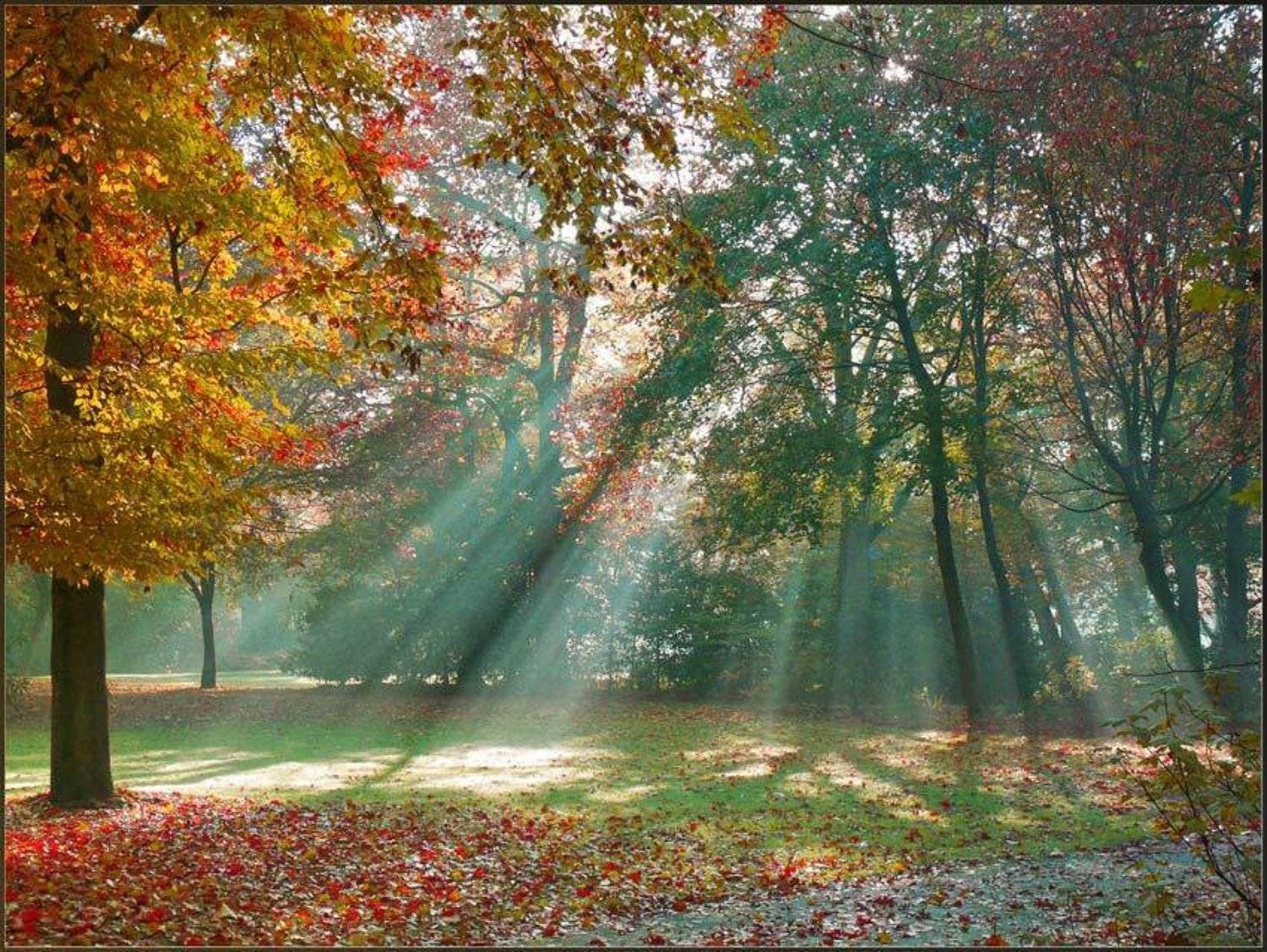 , Павел Хлыпенко