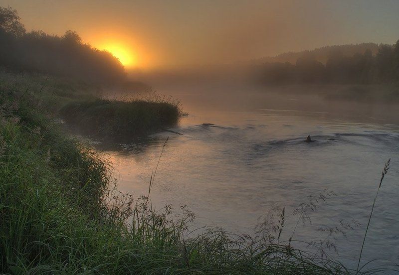 пейзаж, игорь, вишняков, природа, рассвет, никон Туманное утро.photo preview