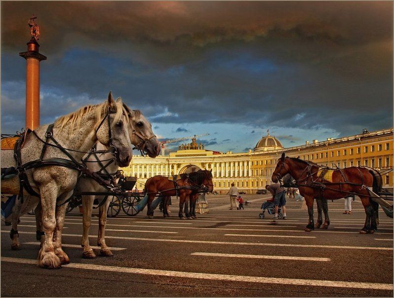 петербург *photo preview