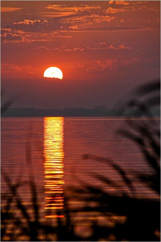 лиман,белгород-днестровский,закат,дорожка, Дорожка к Аккермануphoto preview