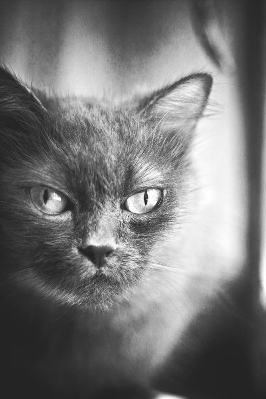 нюсяphoto preview