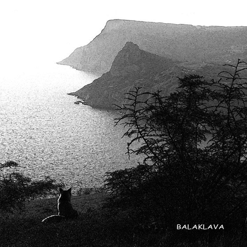 ЛИСА, любующаяся просторами Балаклавыphoto preview